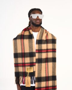 Cashmere Plaid Scarves
