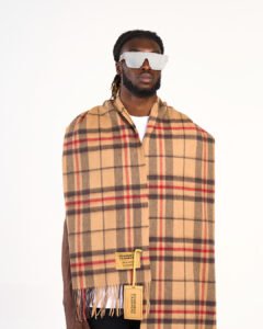 Social Media Designer Cashmere Scarves