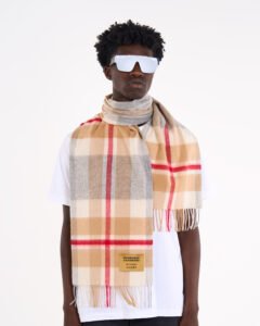 Cashmere Silk Scarves