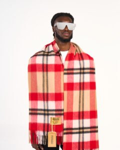 Worldwide Designer Wool Cashmere Scarves